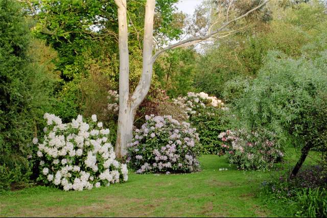 History – Fast Rabbit Farm