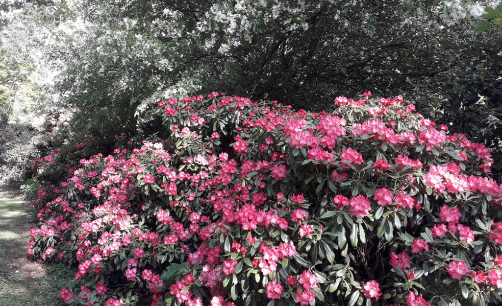 How to find us – Fast Rabbit Farm