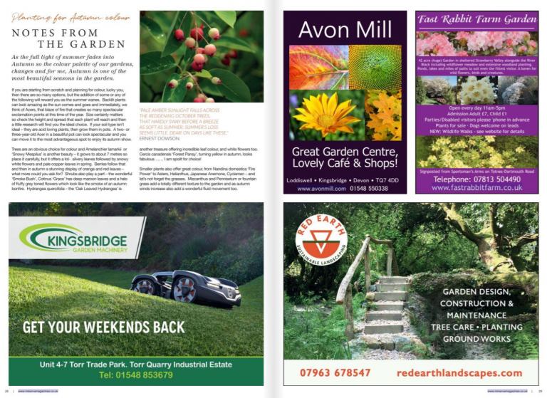 Fast Rabbit Farm – Woodland Garden & Plant Nursery near Dartmouth